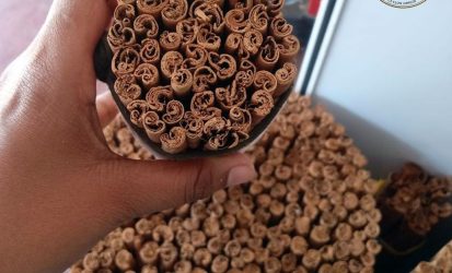 sri lankan cinnamon