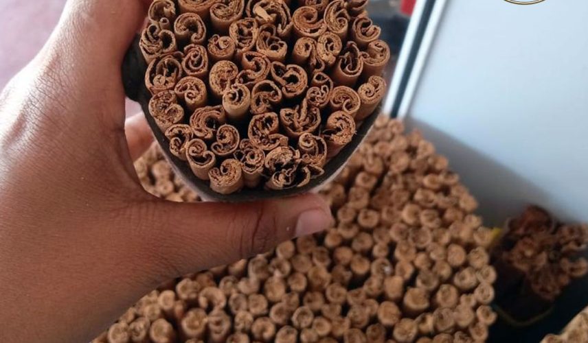 sri lankan cinnamon